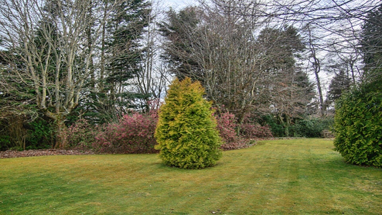 Photo of Outdoor in Conon Bridge