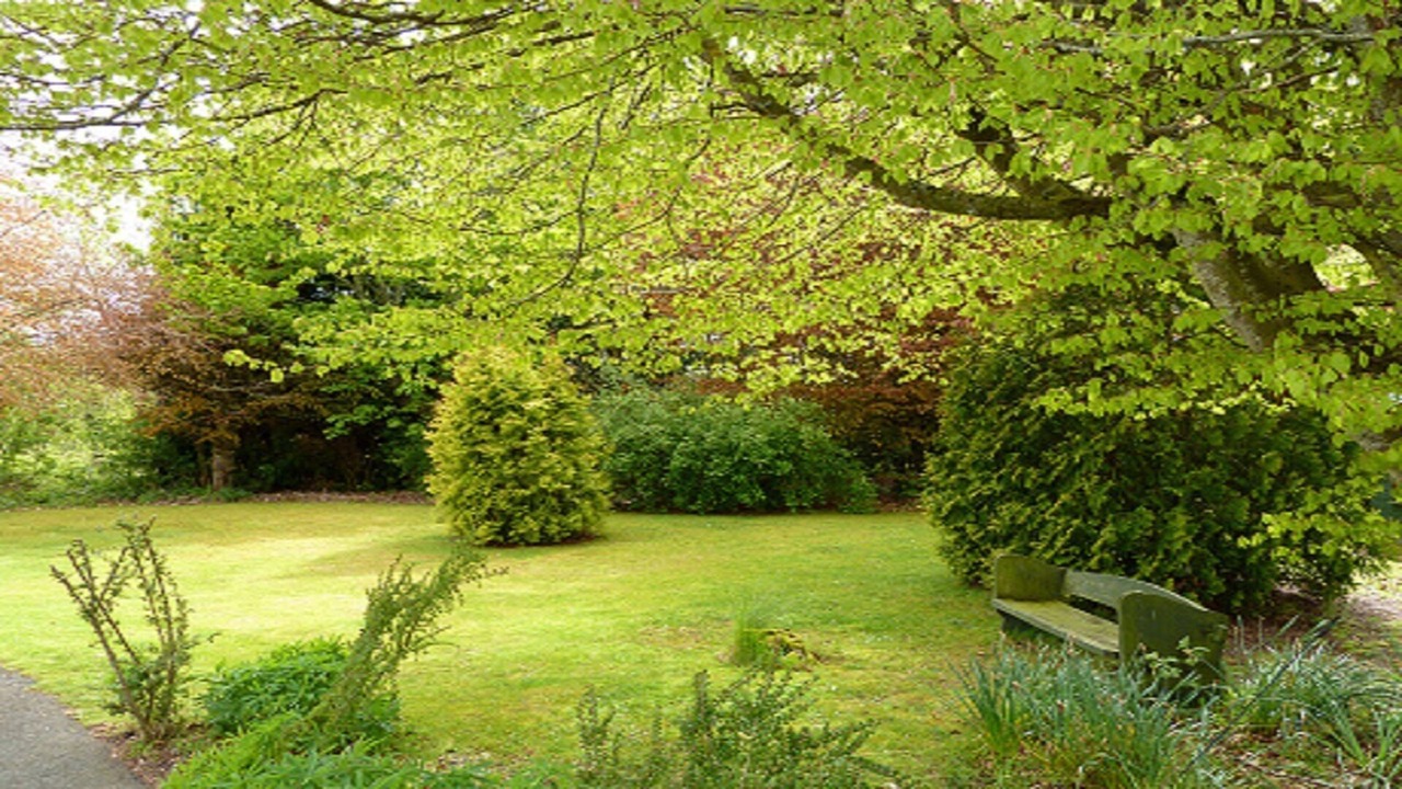 Photo of Outdoor in Conon Bridge