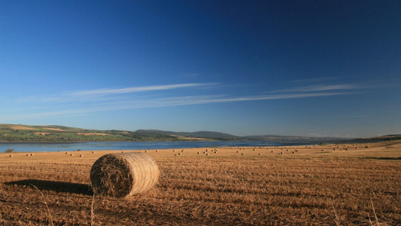 Photo of Others in Conon Bridge