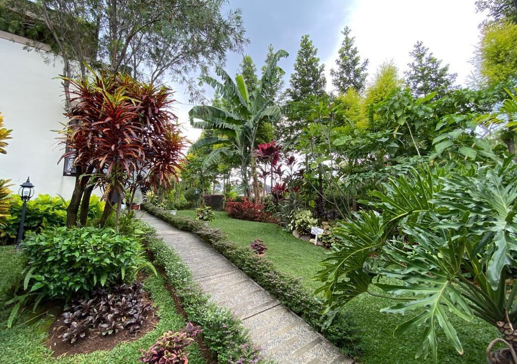 Photo of Outdoor in Ciawi