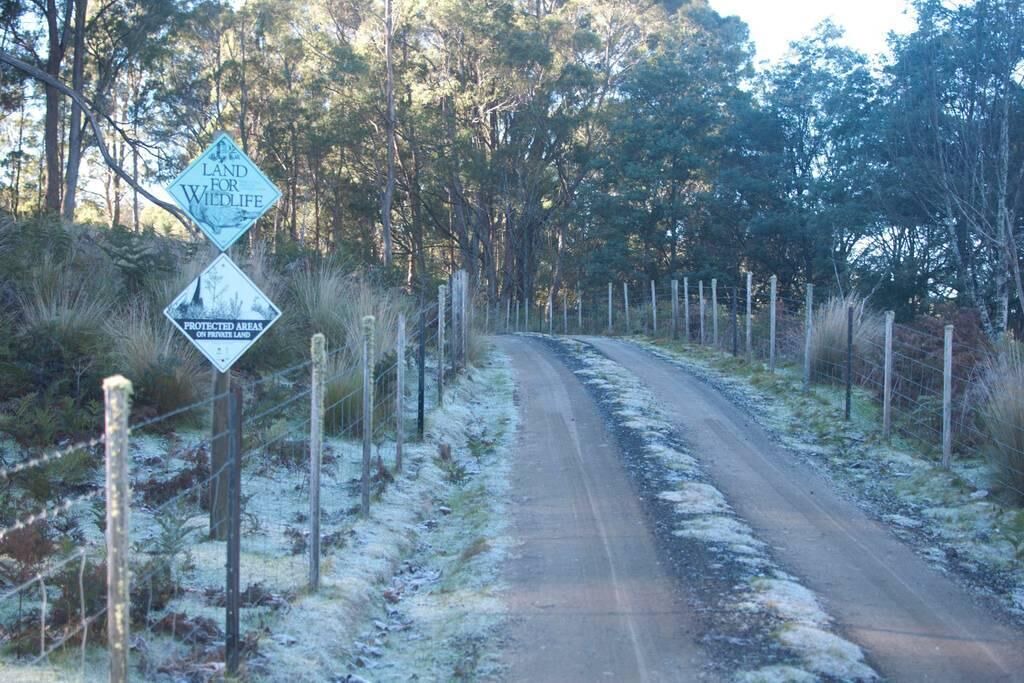 Photo of Others in Mole Creek