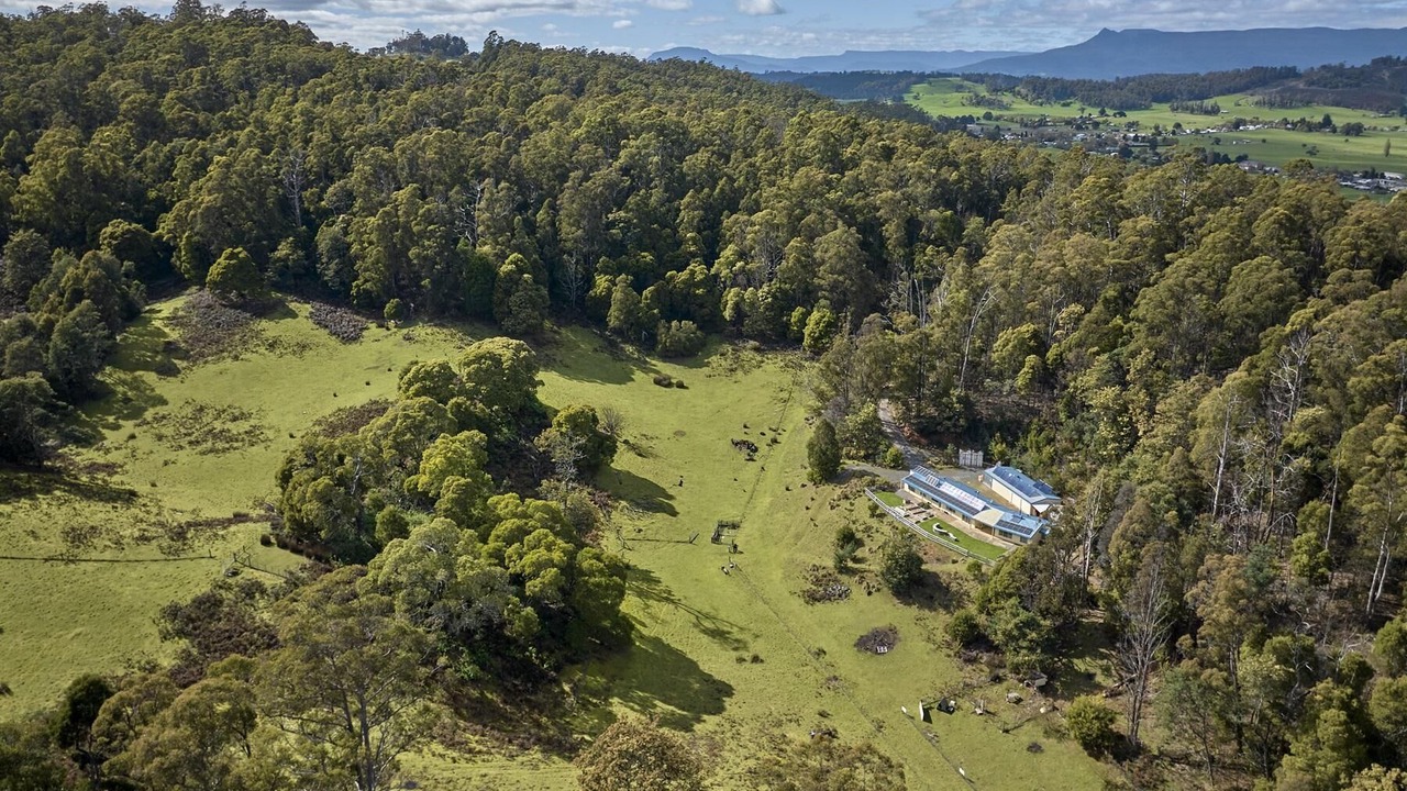 Photo of Others in Mole Creek