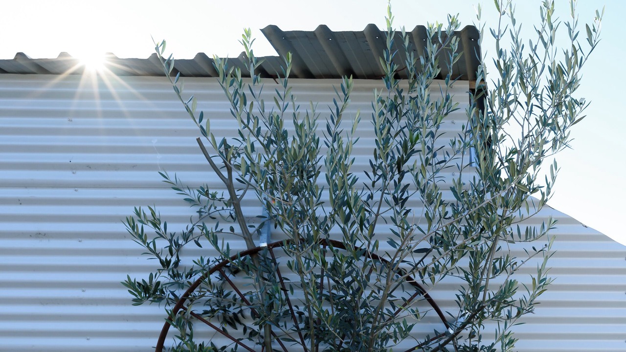 Photo of Outdoor in Beauty Point