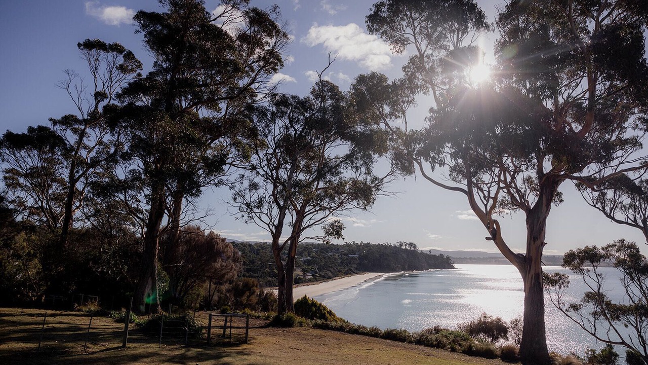 Photo of Others in Spring Beach