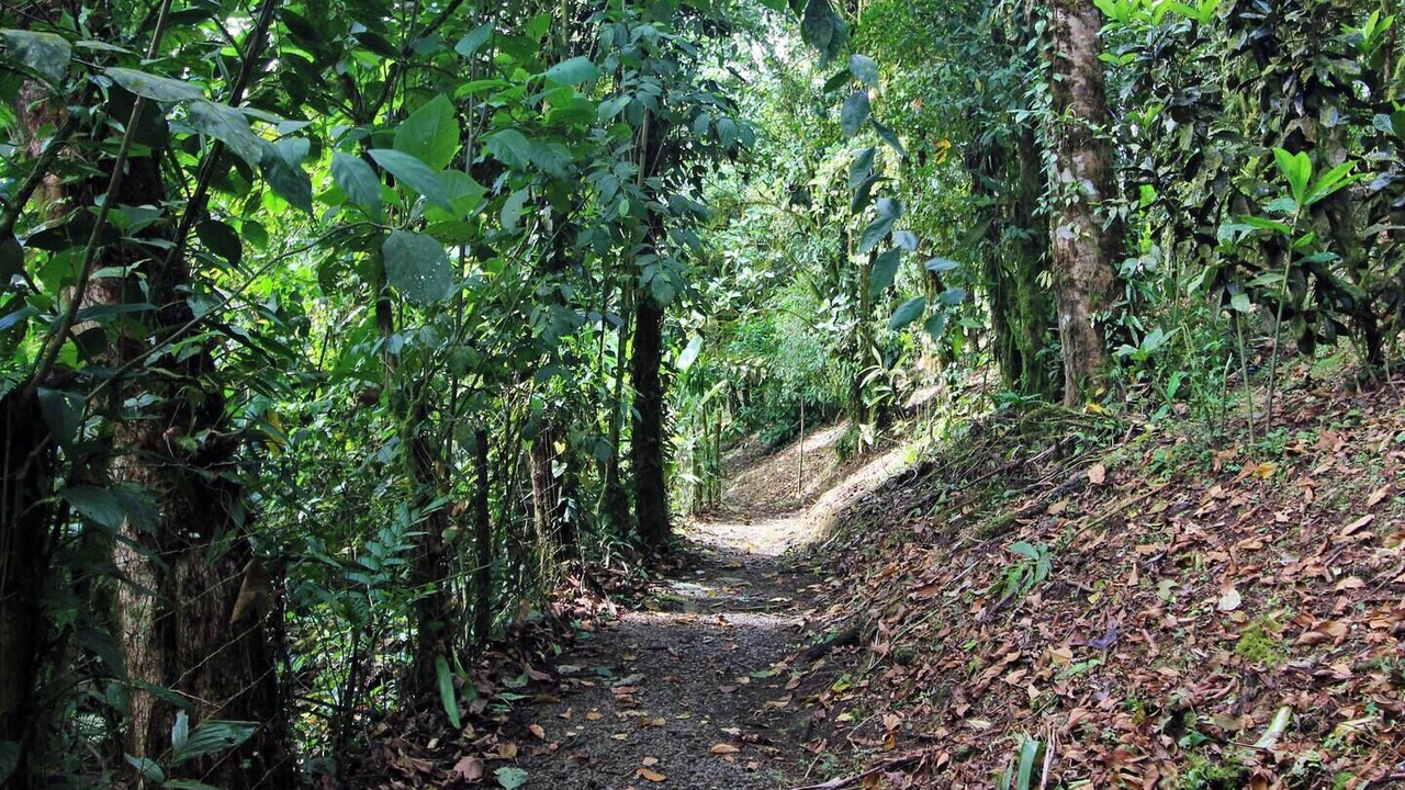 Photo of Others in Arenal