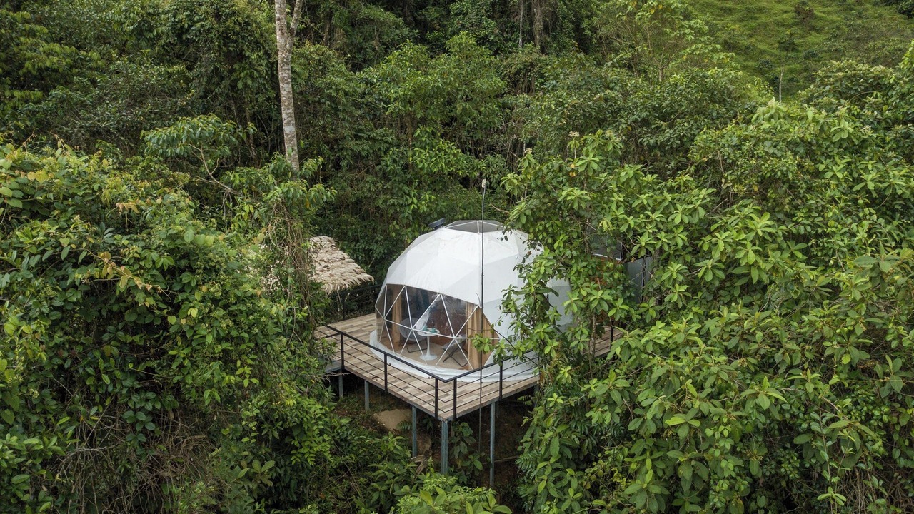 Photo of Others in Pacuare Reserve