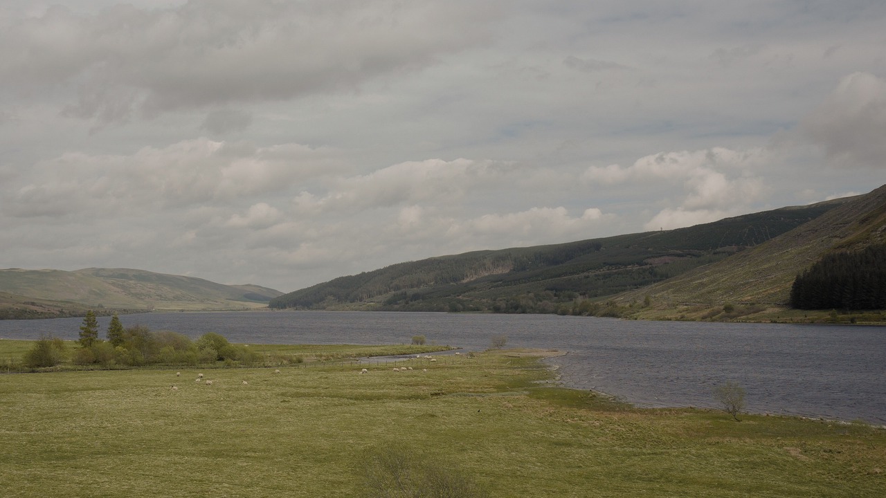 Photo of Others in Selkirk