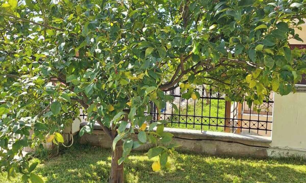 Photo of Outdoor in Thasos
