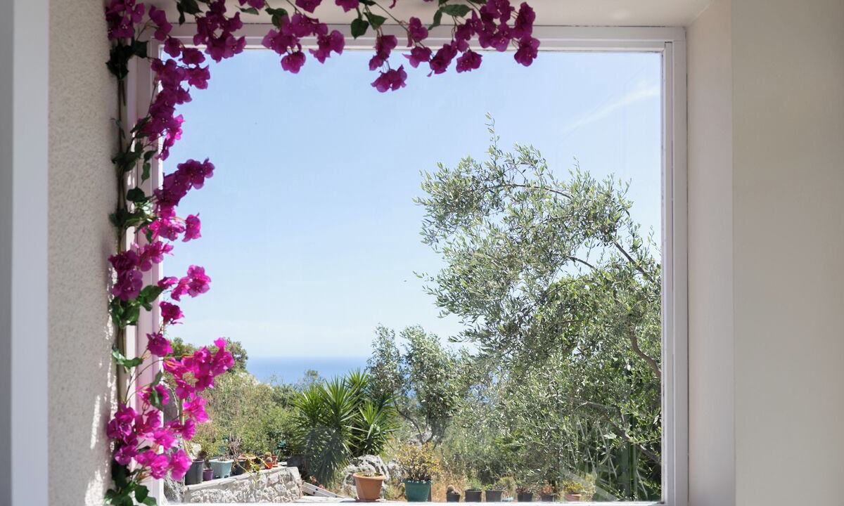 Photo of Others in Kardamyli