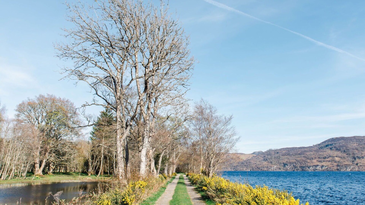 Photo of Bedroom in Invermoriston