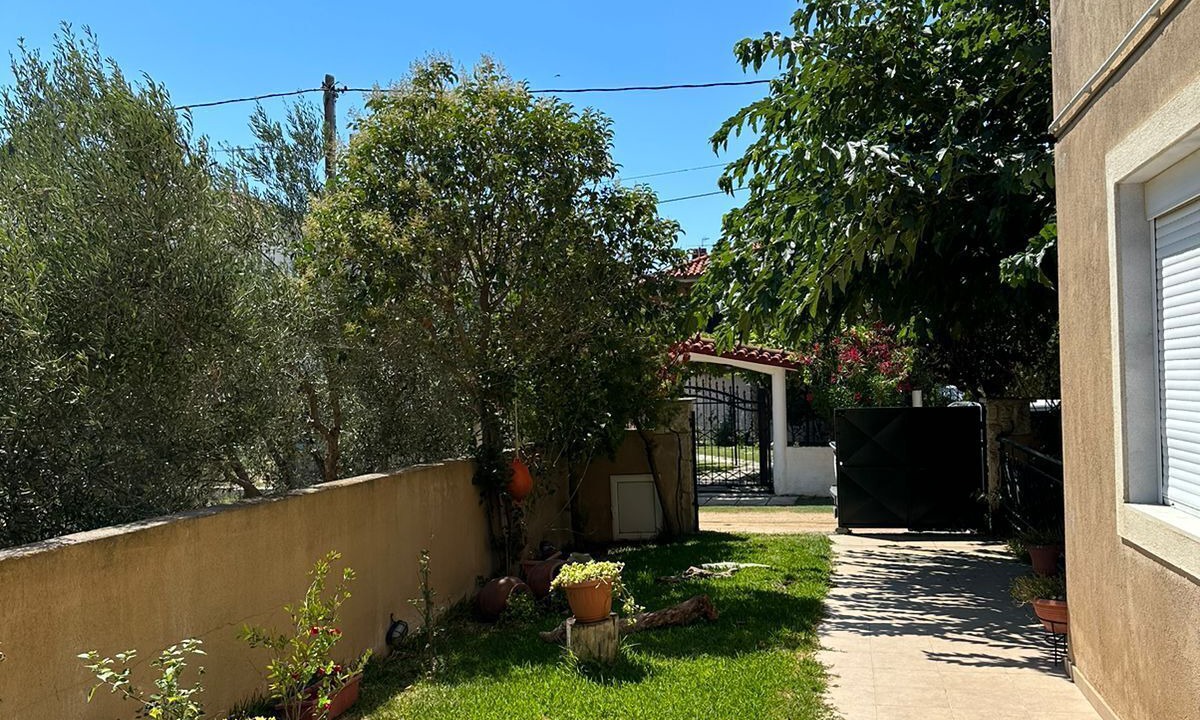 Photo of Outdoor in Paralia Dionysiou