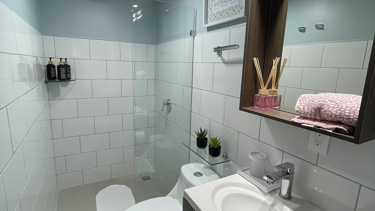 Photo of Bathroom in Curridabat