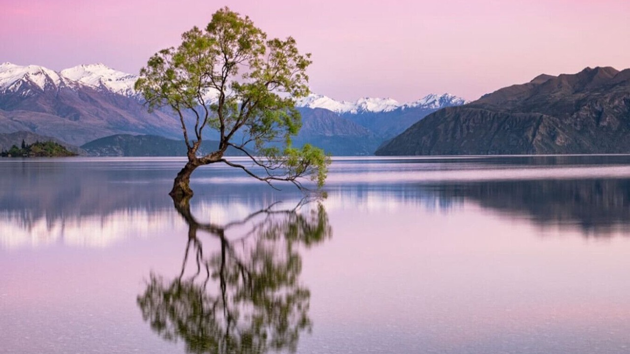 Photo of Others in Wanaka