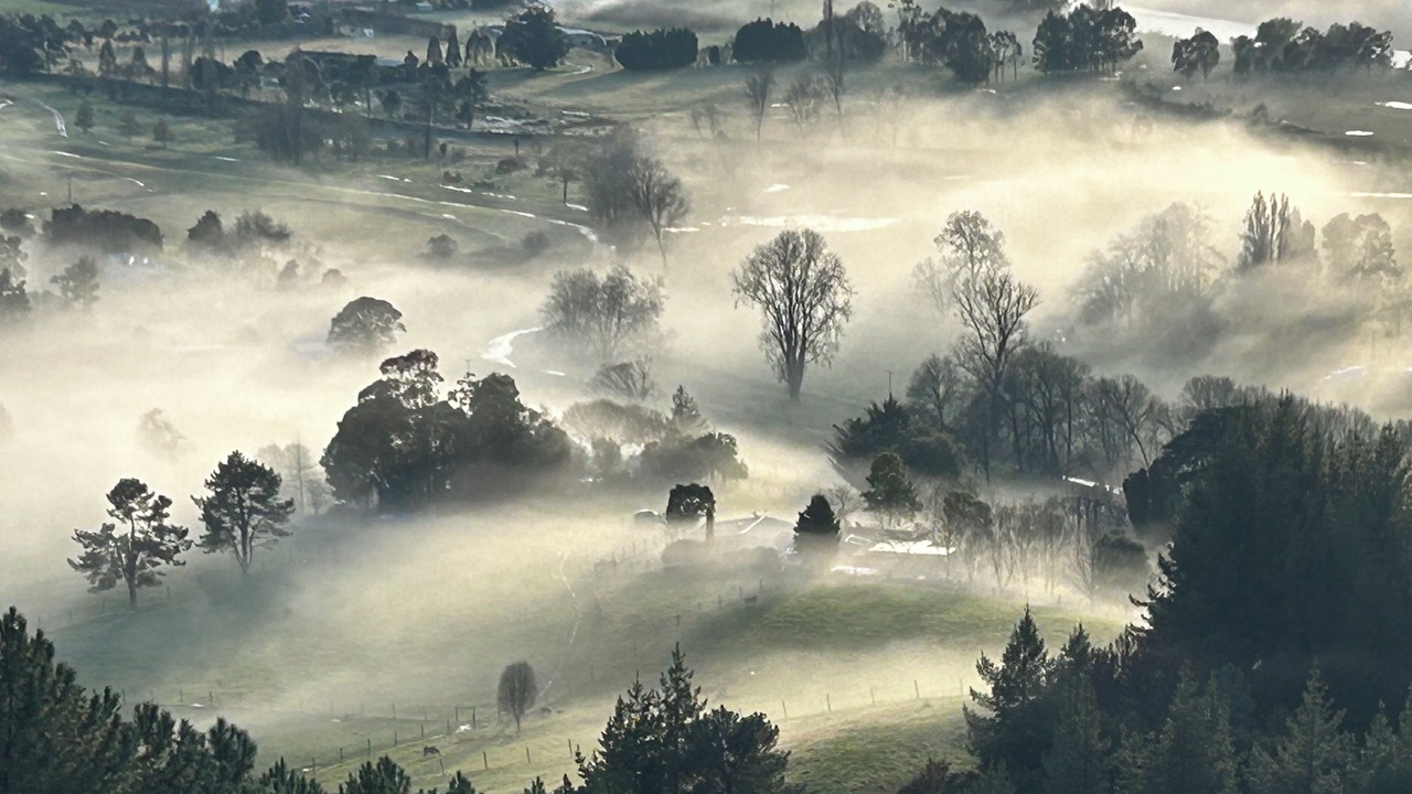 Photo of Outdoor in Motueka