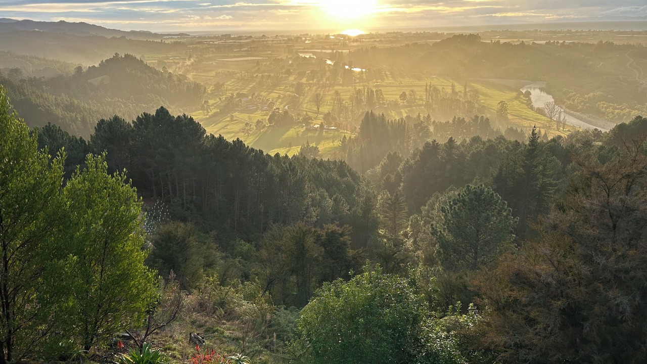 Photo of Others in Motueka