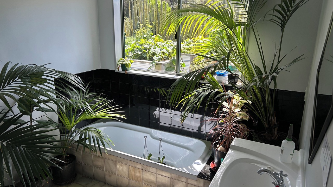 Photo of Bathroom in Motueka