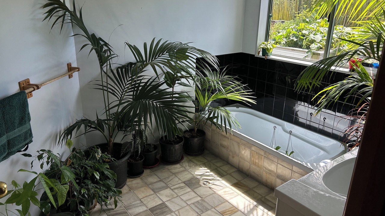 Photo of Bathroom in Motueka