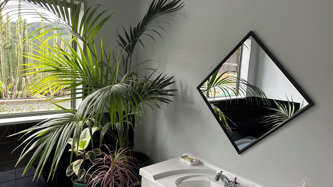 Photo of Bathroom in Motueka