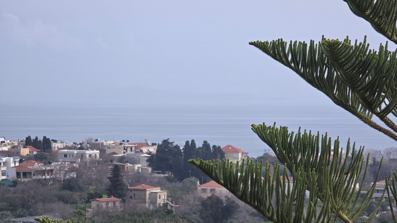 Photo of Others in Chios