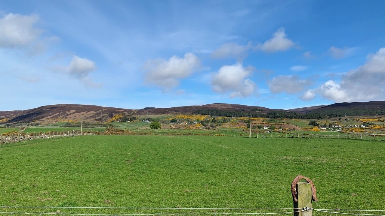 Photo of Others in Brora