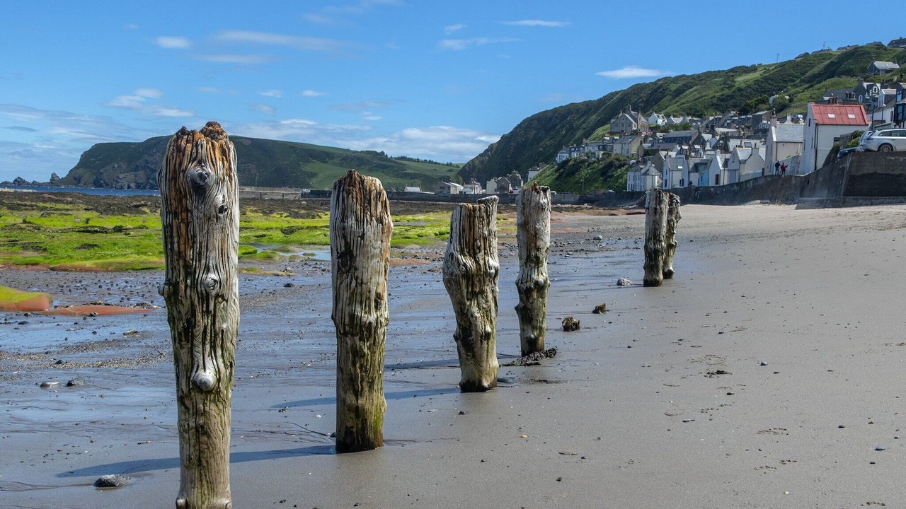 Photo of Others in Gardenstown