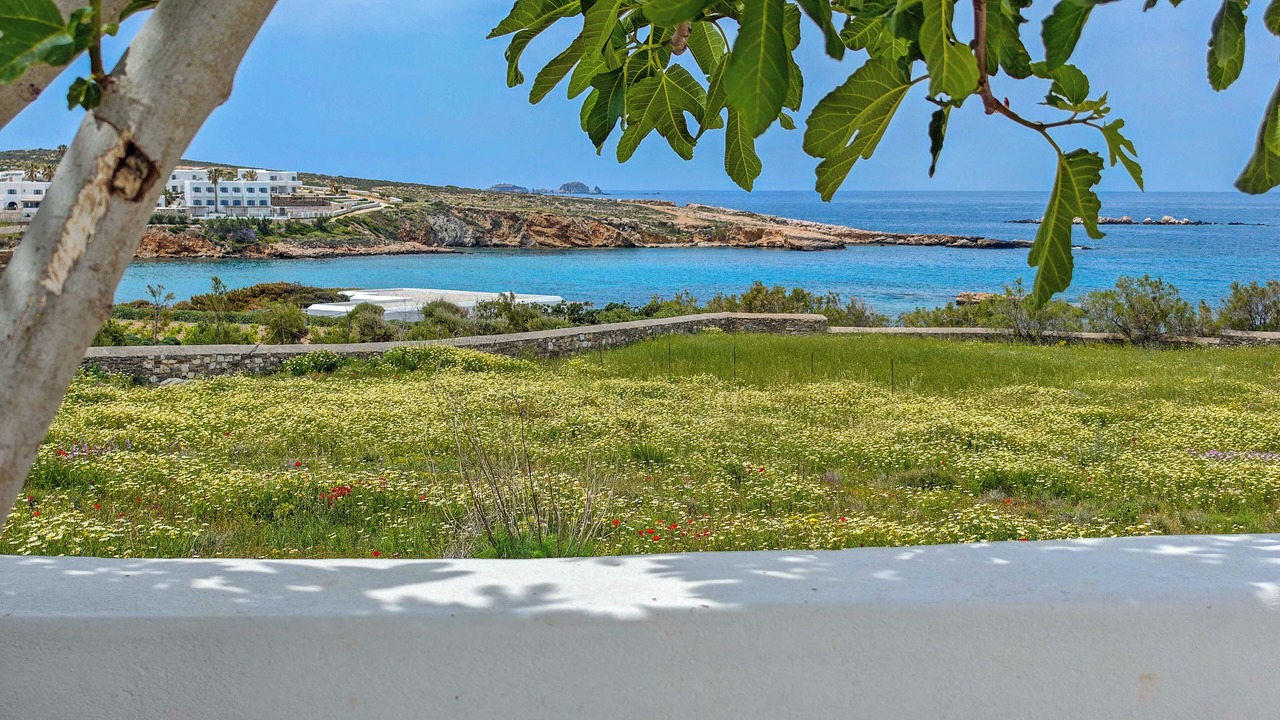 Photo of Others in Parasporos
