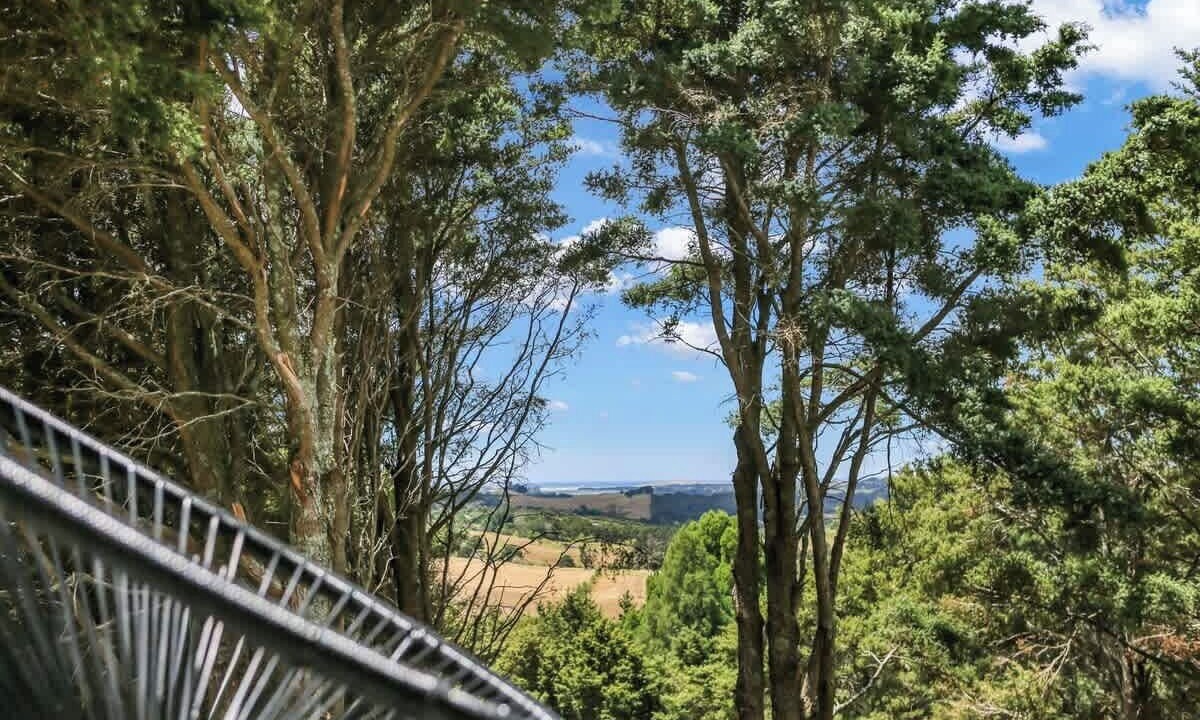 Photo of Others in Mangawhai
