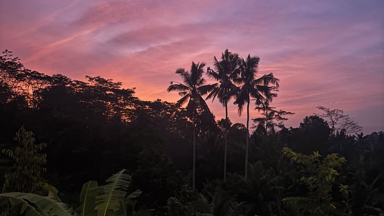 Photo of Outdoor in Selat