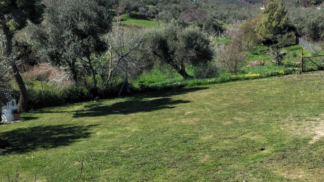 Photo of Outdoor in Raches
