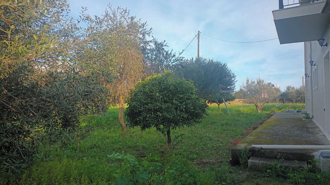 Photo of Outdoor in Sarlata