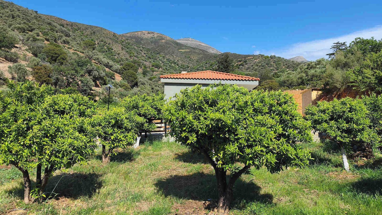 Photo of Outdoor in Fodele