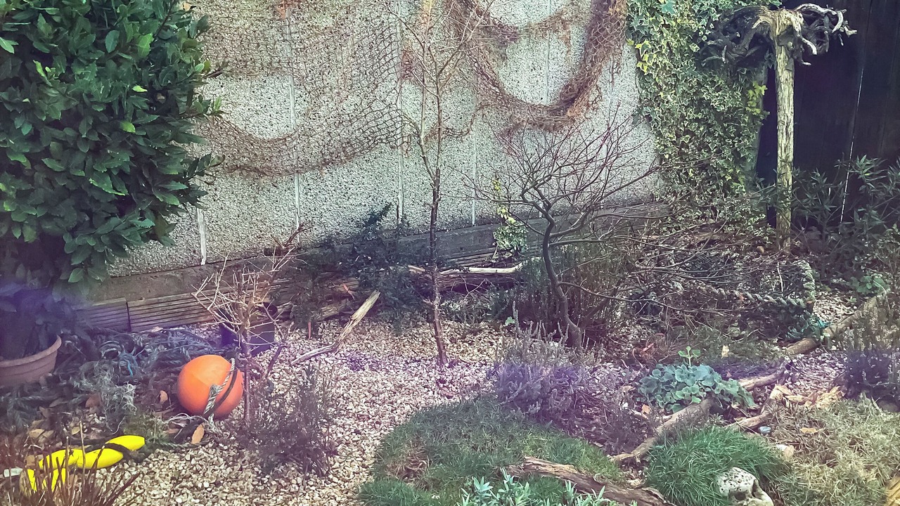 Photo of Outdoor in Cromarty