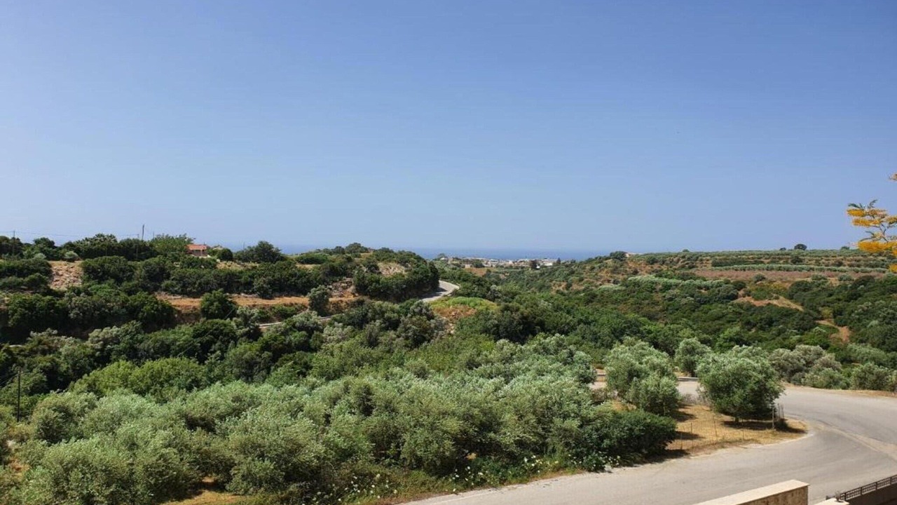 Photo of Others in Vasilikos