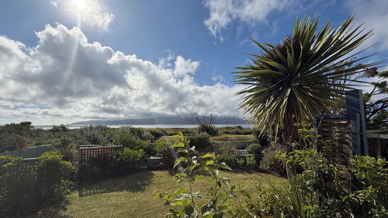 Photo of Outdoor in Paraparaumu Beach