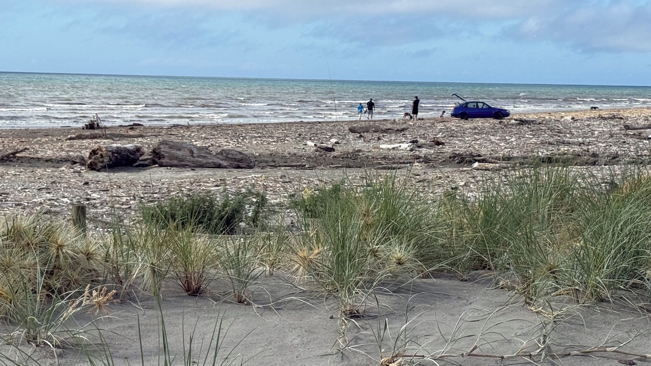Photo of Others in Paraparaumu Beach