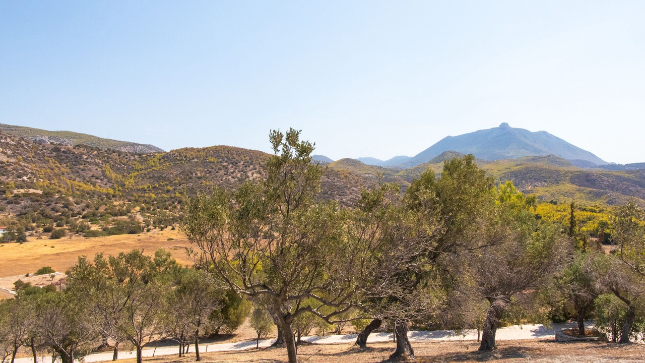 Photo of Others in Loutraki-Agioi Theodoroi