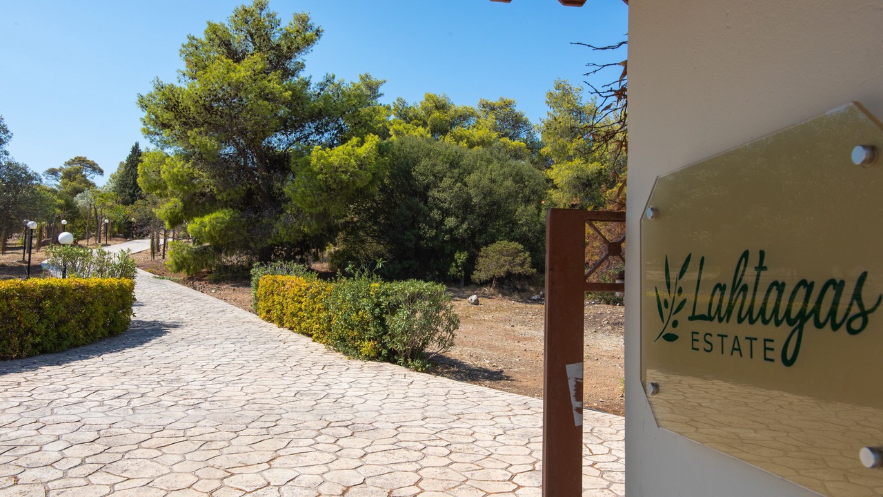 Photo of Others in Loutraki-Agioi Theodoroi