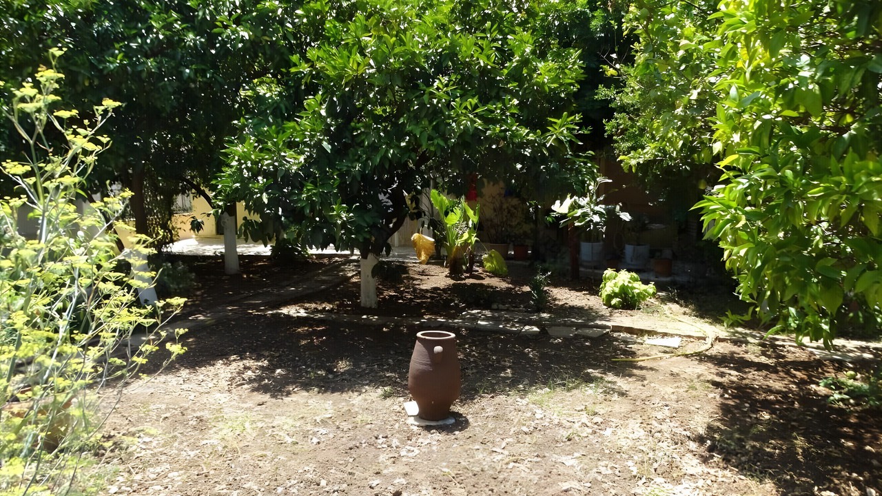 Photo of Outdoor in Poros