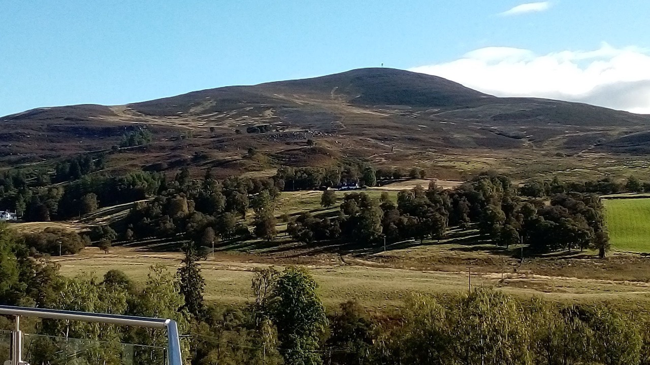 Photo of Others in Blairgowrie