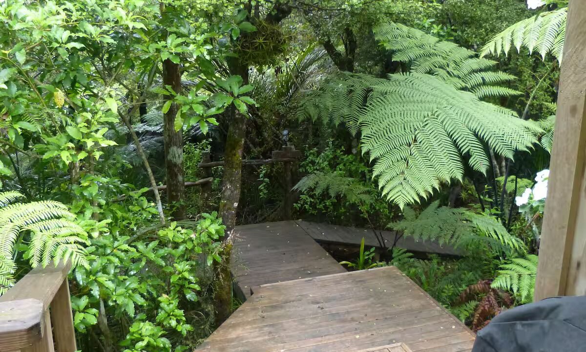 Photo of Outdoor in Mangawhai