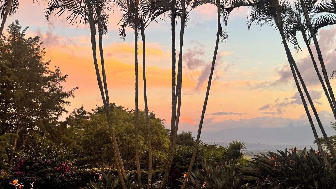 Photo of Outdoor in Sabanilla