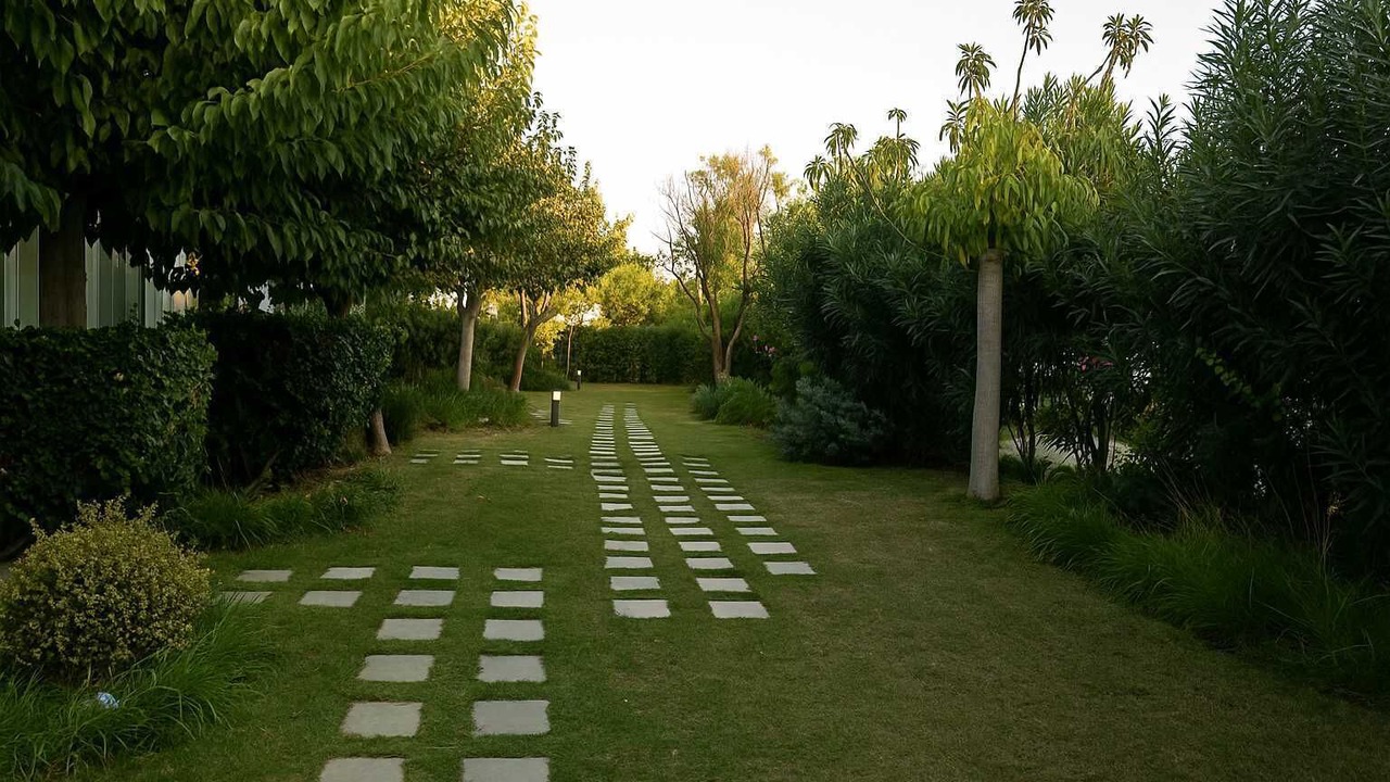 Photo of Outdoor in Gialos