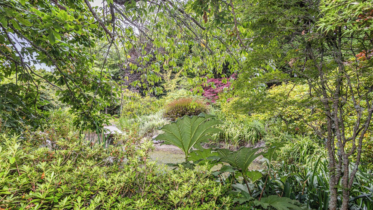 Photo of Outdoor in Rangataua