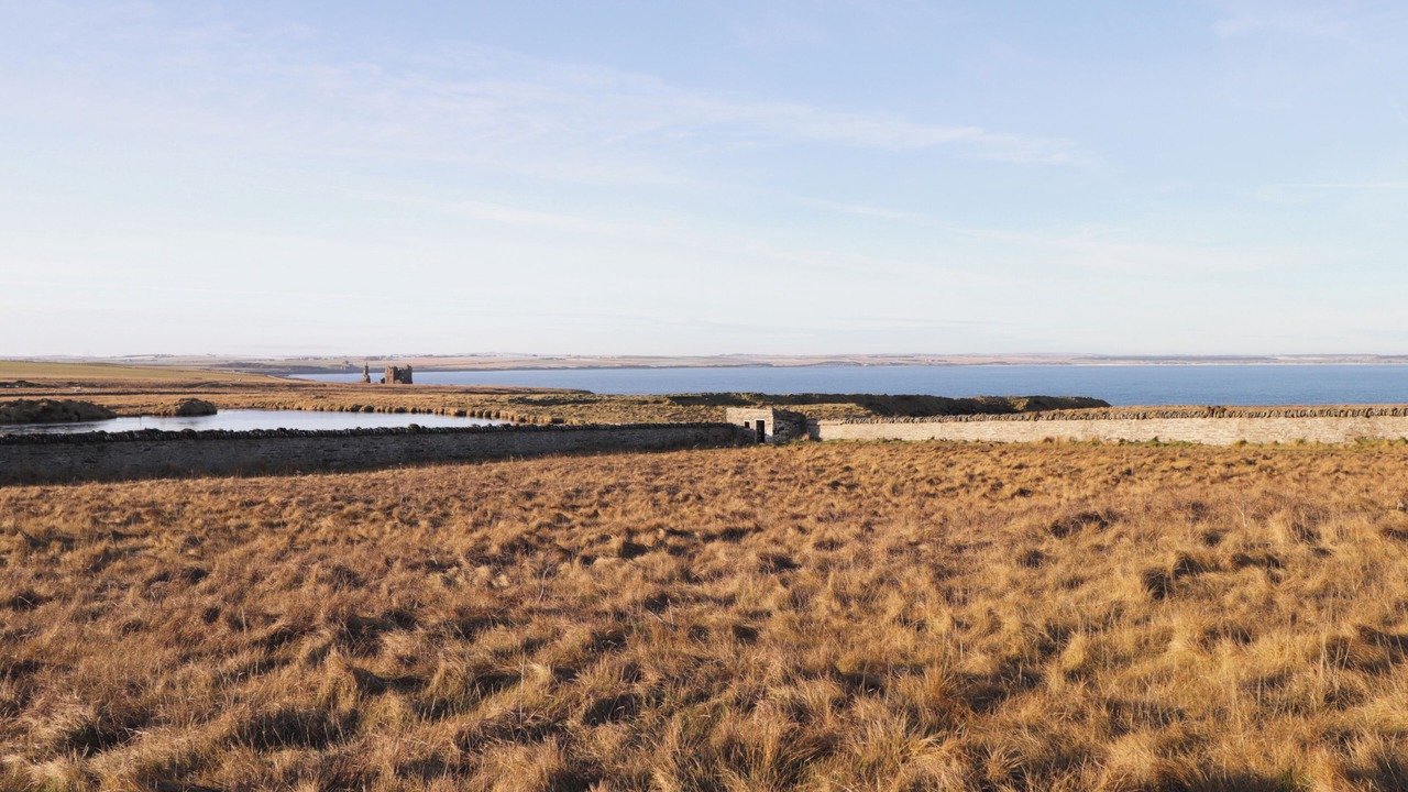 Photo of Others in Wick