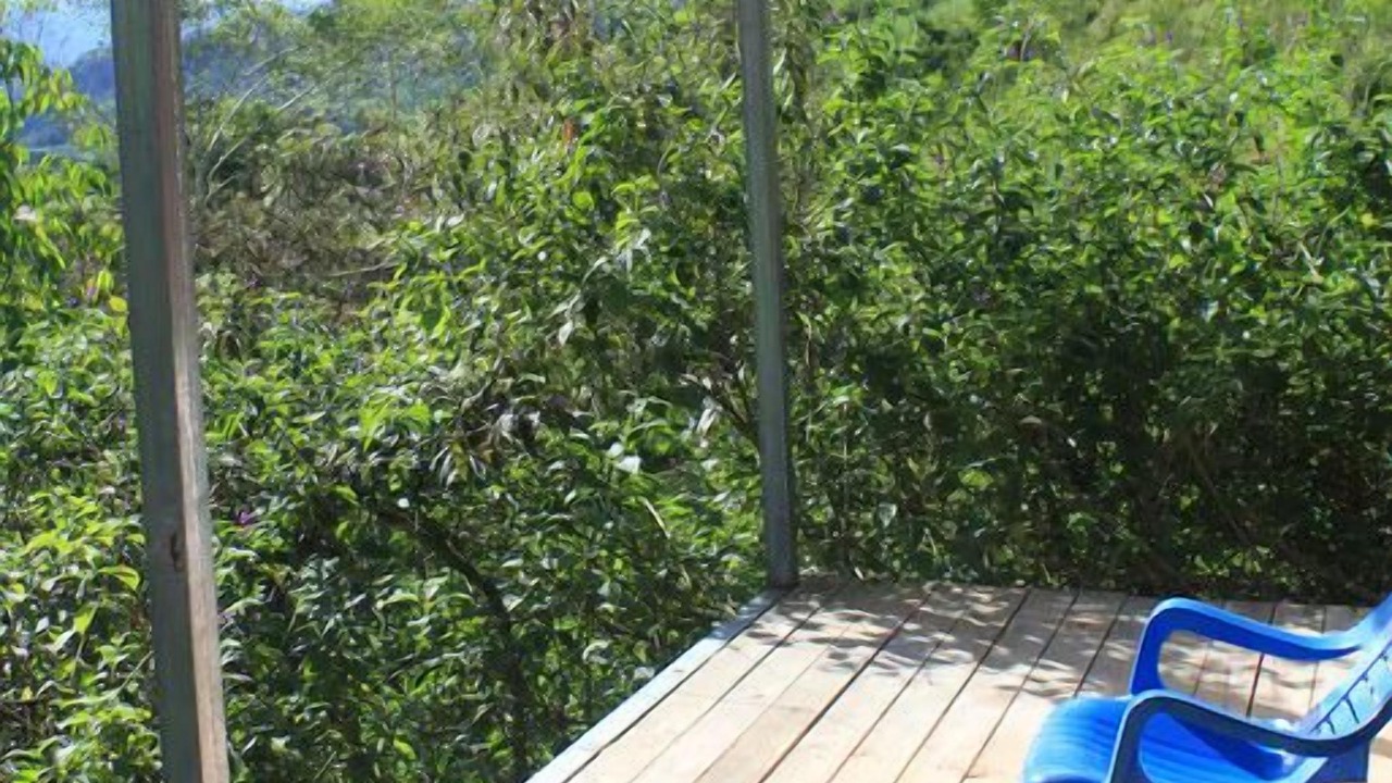 Photo of Patio Balcony in Tayutic