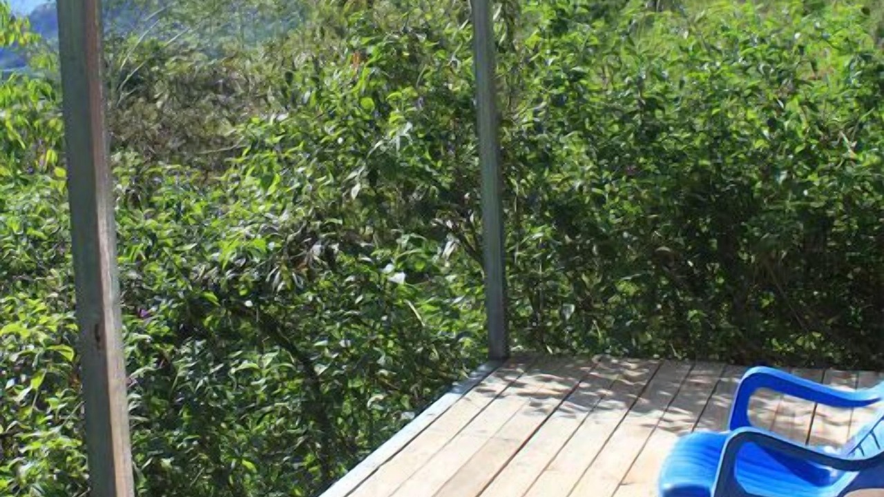 Photo of Patio Balcony in Tayutic