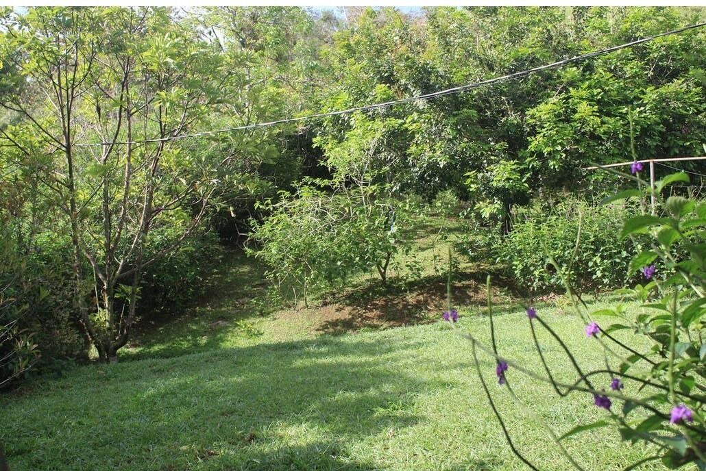 Photo of Outdoor in Tayutic
