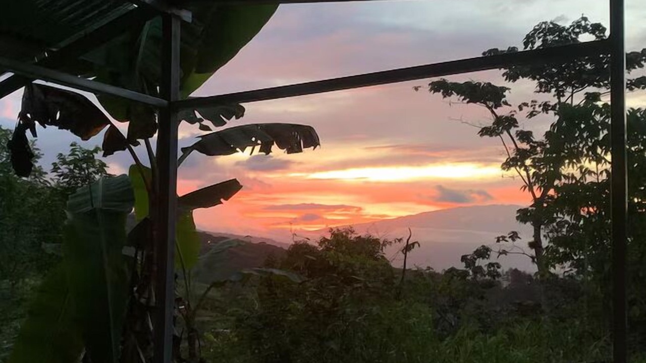 Photo of Outdoor in Tayutic
