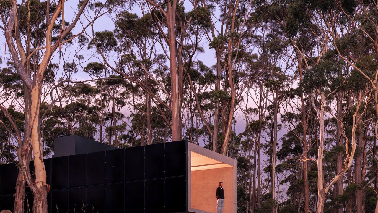 Photo of Others in Apollo Bay