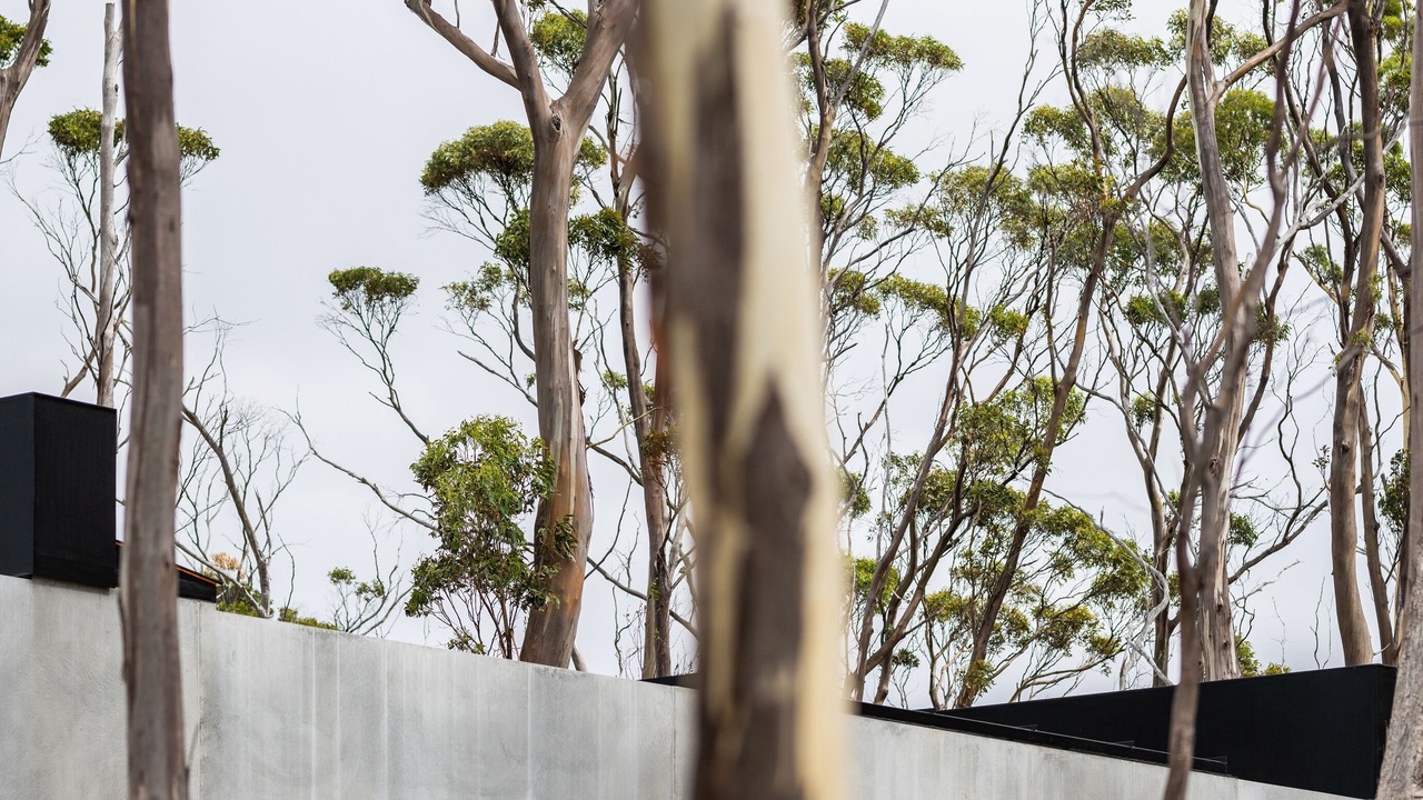 Photo of Others in Apollo Bay